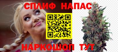 молекула духа Партизанск