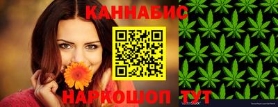 молекула духа Партизанск